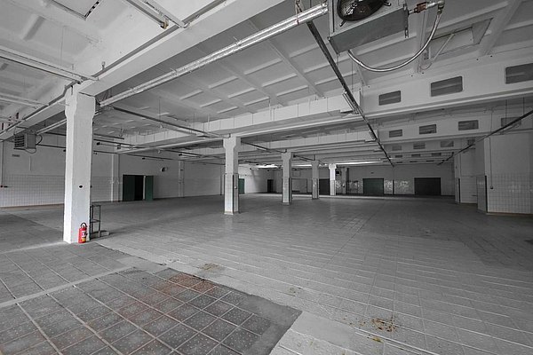 beheizbare Halle 