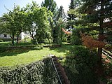 if-bi16-garten-mit-wiese-21051