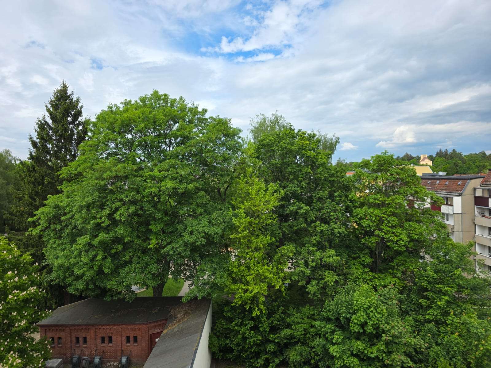 Blick ins Grüne