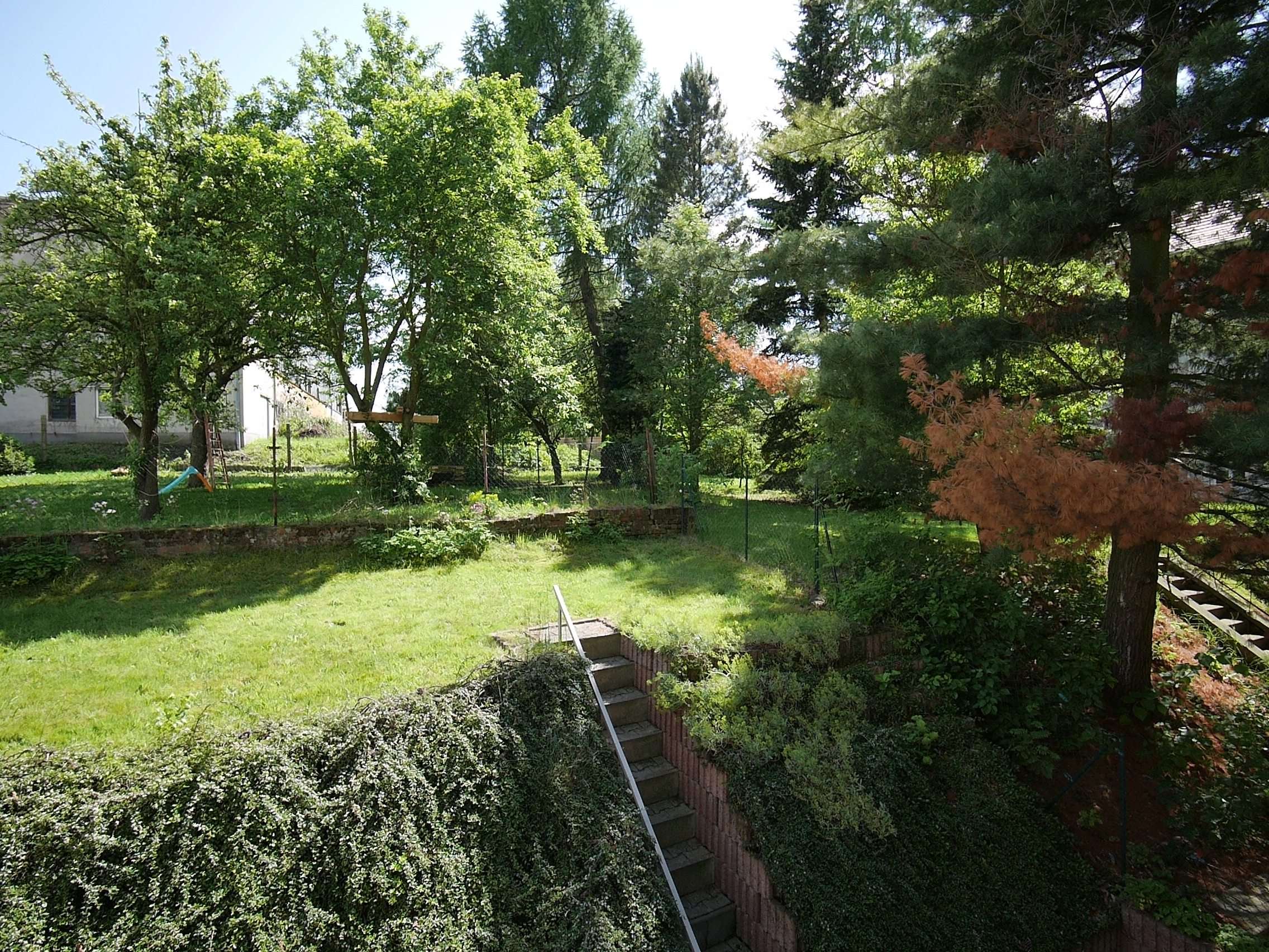 if-bi16-garten-mit-wiese-21051